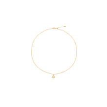 Load image into Gallery viewer, lion necklace